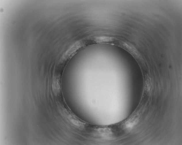 X0000062170426200512121245