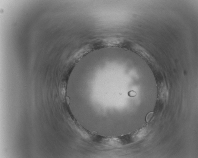 X0000062170427200512121245