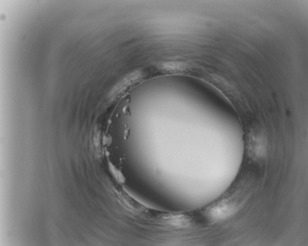 X0000062170428200512121245