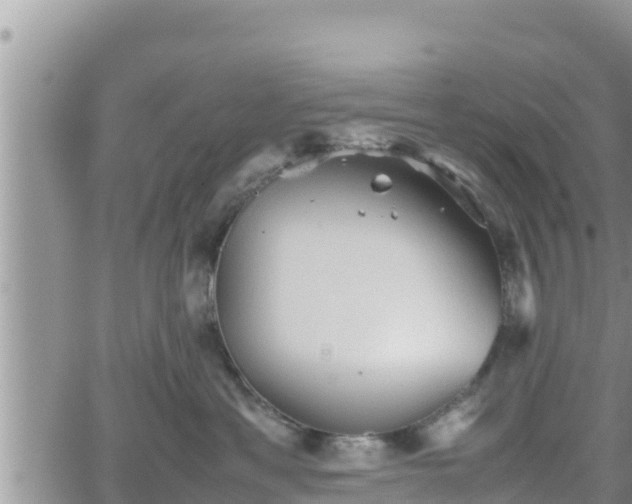 X0000062170429200512121245