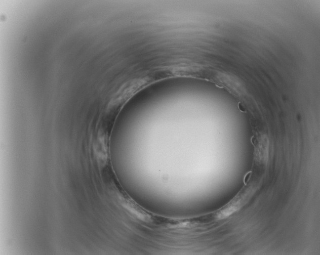 X0000062170430200512121245