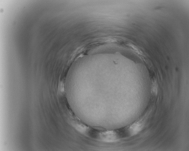 X0000062170431200512121245