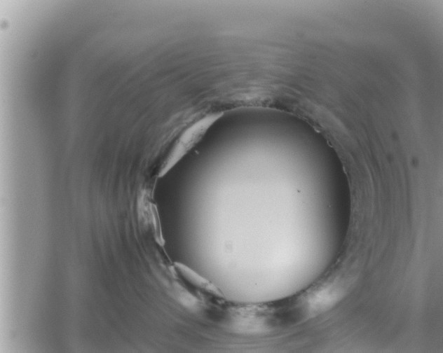 X0000062170432200512121245