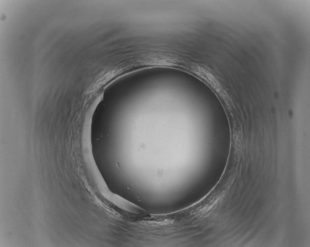 X0000062170433200512121244