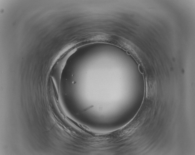 X0000062170435200512121244