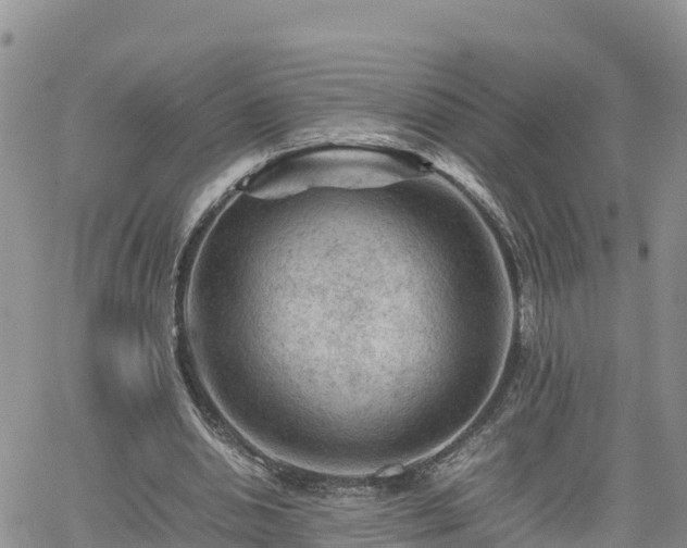 X0000062170438200512121244