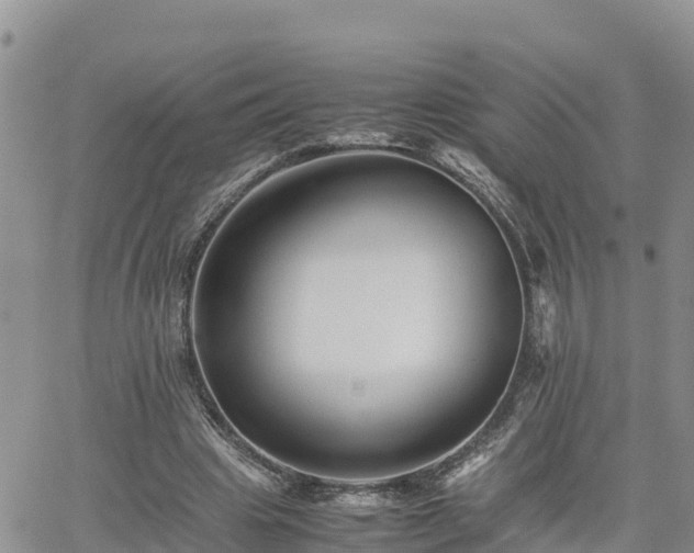 X0000062170441200512121244