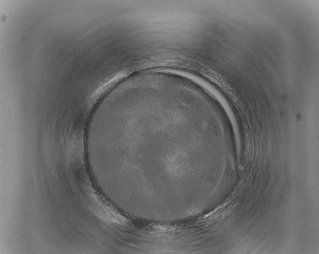 X0000062170442200512121244