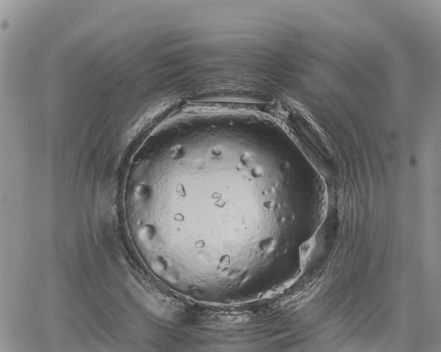 X0000062170443200512121244