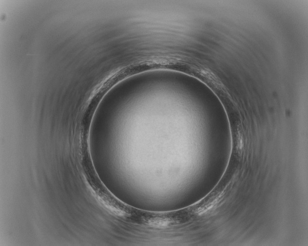 X0000062170444200512121244