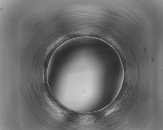 X0000062170446200512121244