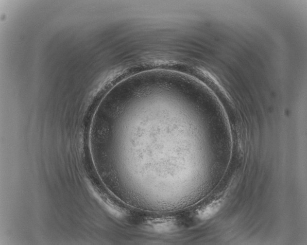 X0000062170447200512121244