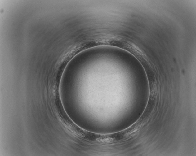 X0000062170452200512121245