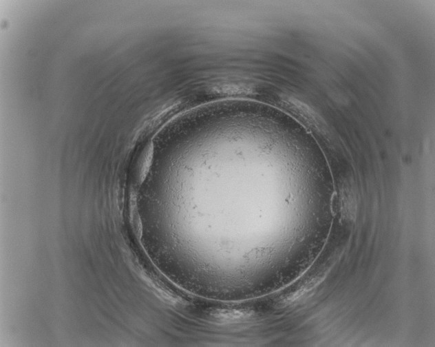 X0000062170453200512121245