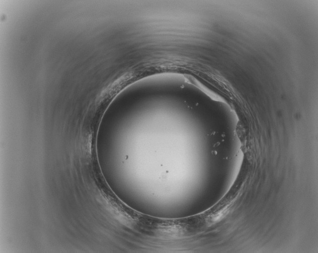 X0000062170454200512121245