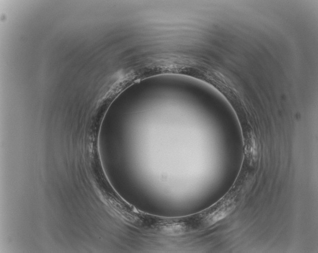 X0000062170456200512121245