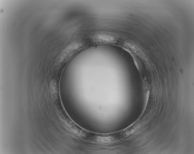 X0000062170457200512121245