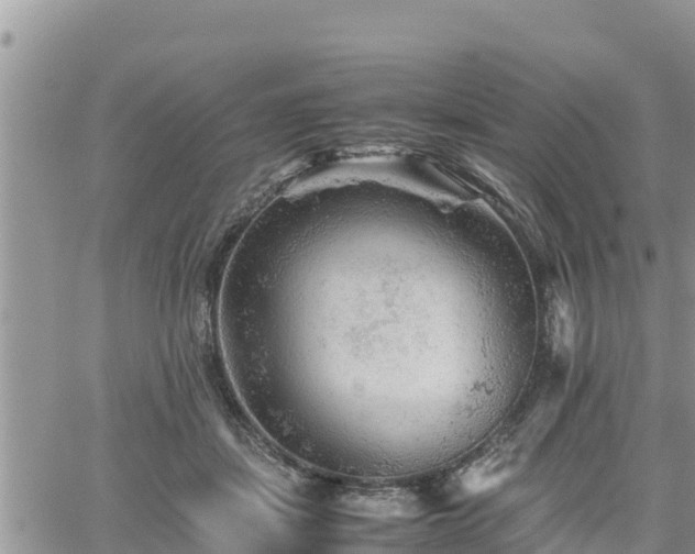 X0000062170459200512121245