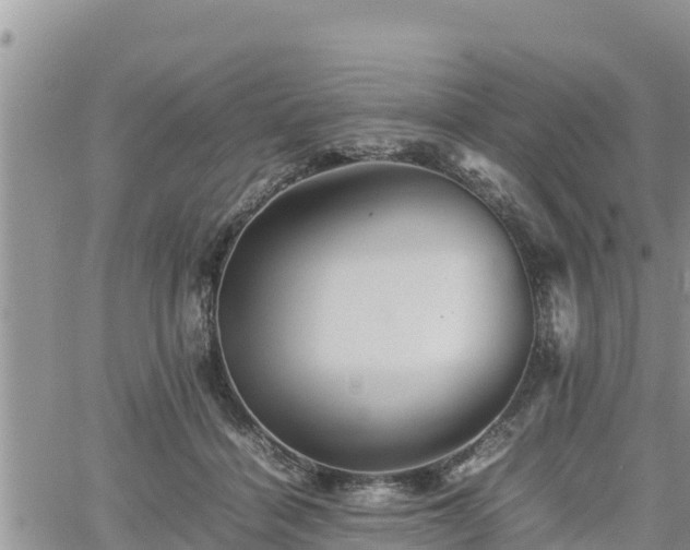 X0000062170460200512121245