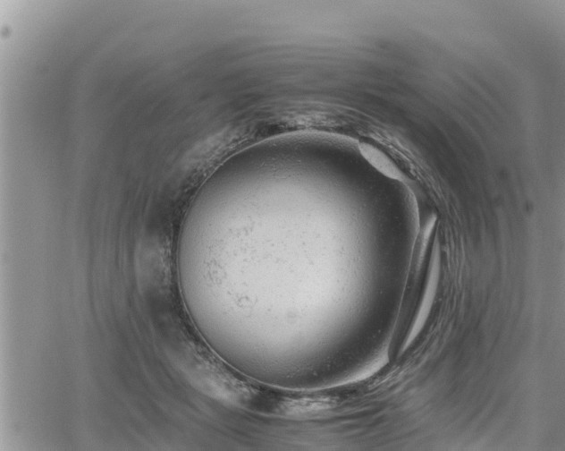 X0000062170461200512121245