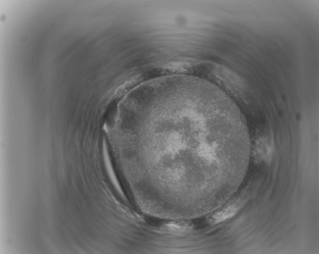 X0000062170466200512121245