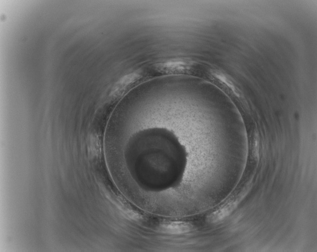 X0000062170467200512121245