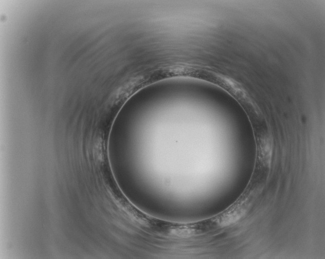 X0000062170470200512121245