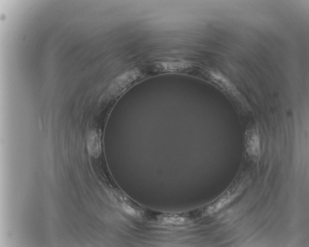 X0000062170471200512121245