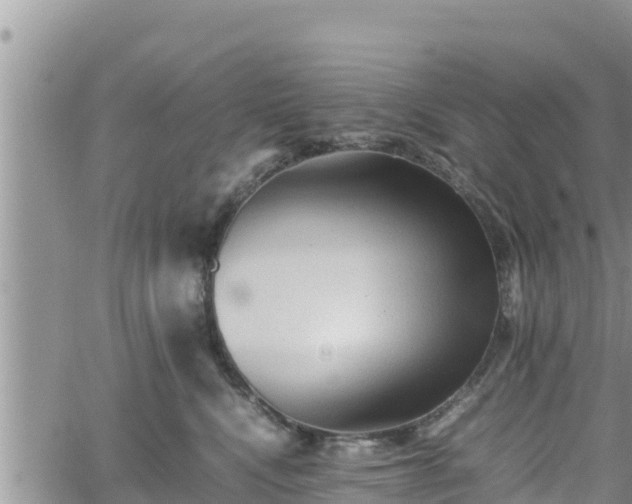 X0000062170472200512121245