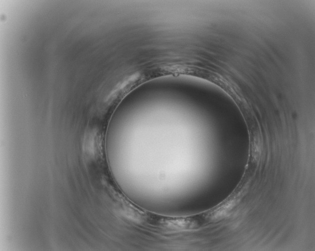 X0000062170473200512121245