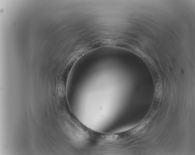 X0000062170474200512121245