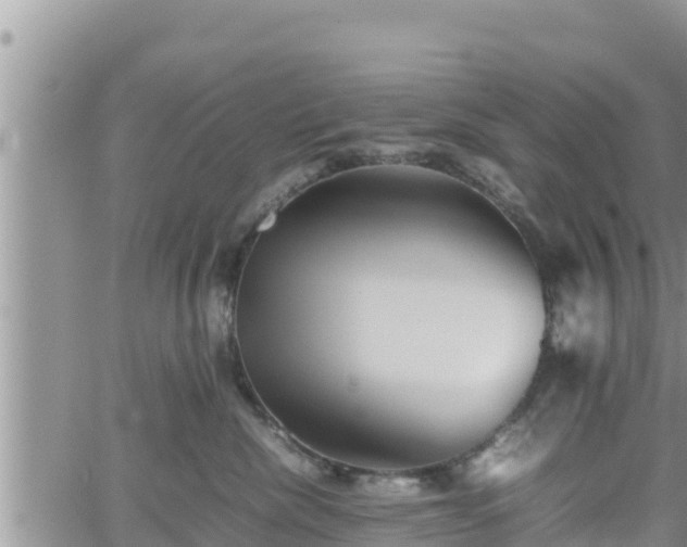 X0000062170476200512121245