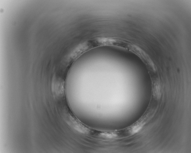 X0000062170477200512121245