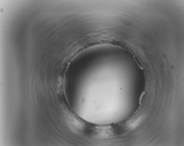 X0000062170480200512121245