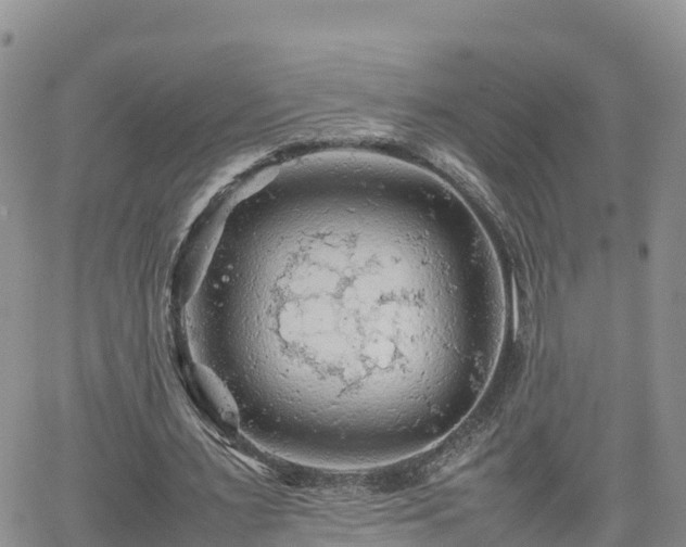 X0000062170483200512121244