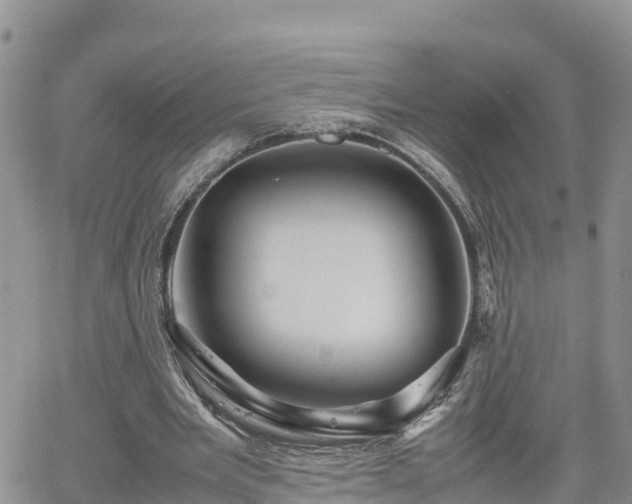 X0000062170485200512121244