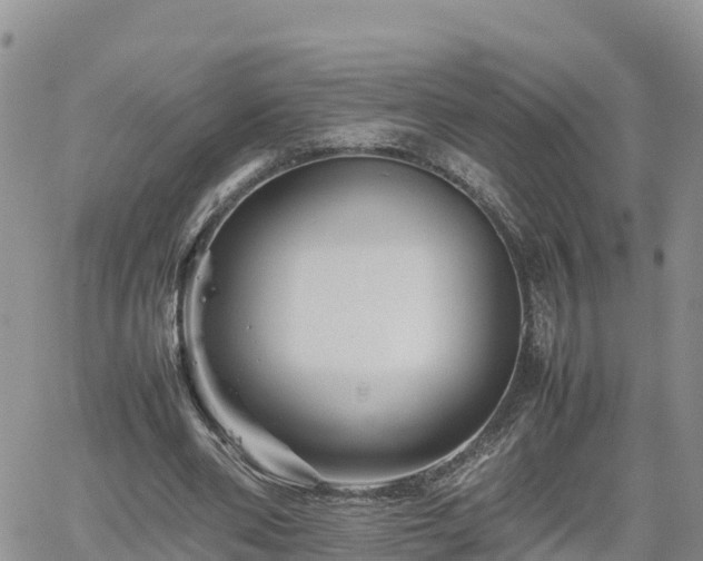 X0000062170486200512121244