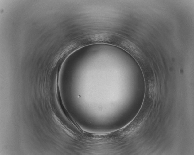 X0000062170490200512121244