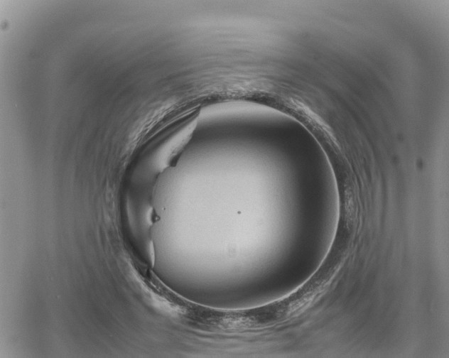 X0000062170493200512121244