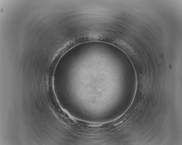 X0000062170496200512121244