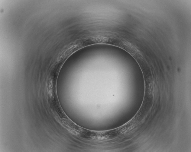 X0000062170498200512121244