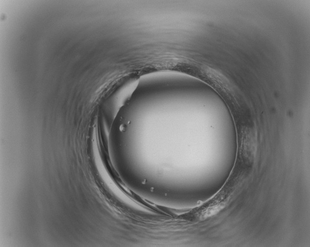 X0000062170501200512121244