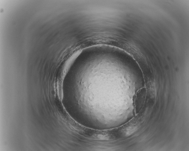 X0000062170506200512121244