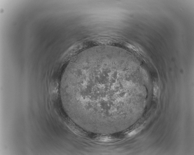 X0000062170507200512121244