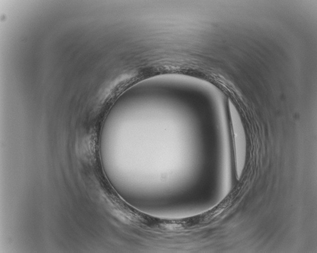 X0000062170509200512121244