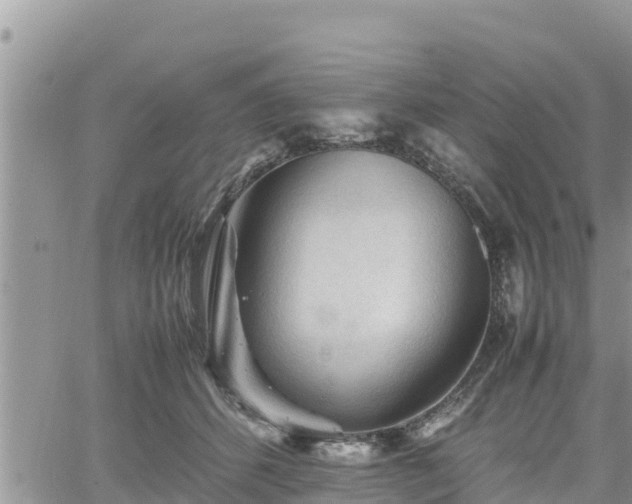 X0000062170512200512121244