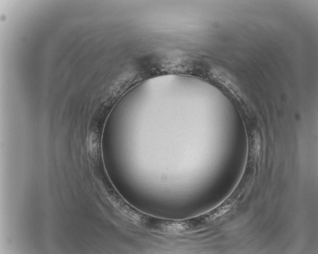 X0000062170513200512121244