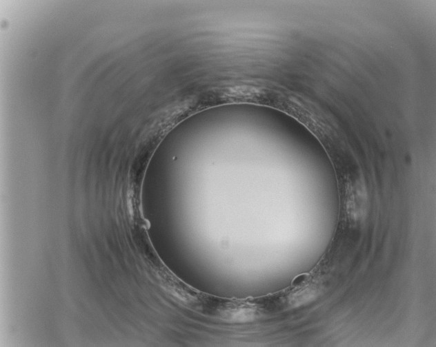 X0000062170514200512121244