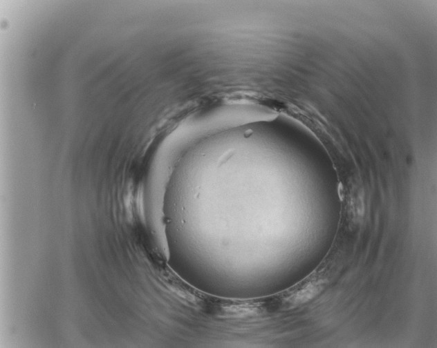 X0000062170516200512121244