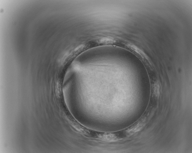 X0000062170517200512121244